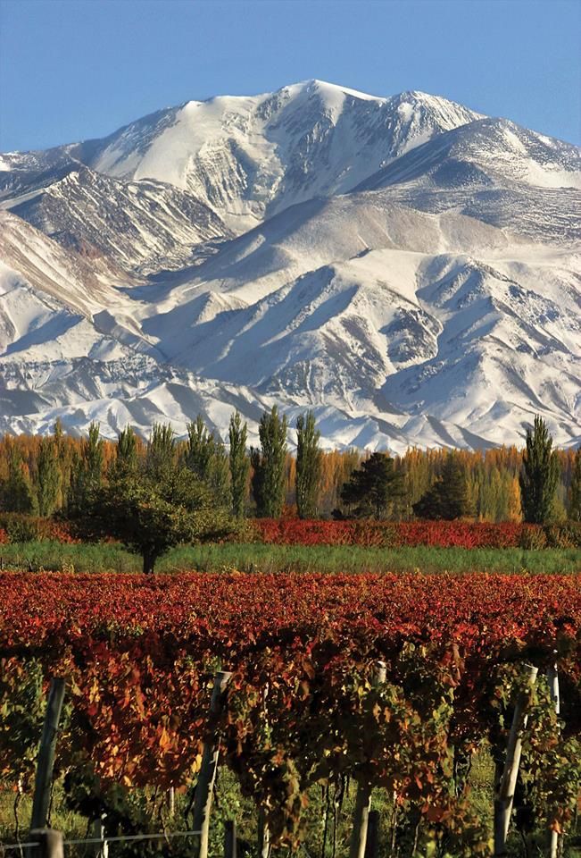 Mendoza, Argentina (América)